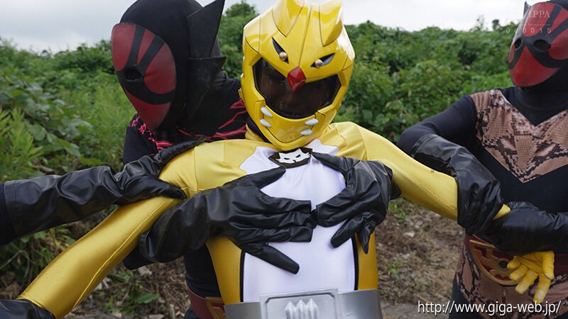 ヒロイン特殊責め 神獣戦隊ビーストレンジャー ビーストイエロー 及川うみ│及川うみ│単体作品│h_173msz00012