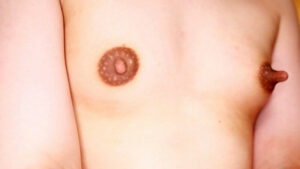 【マニア垂涎】丸の内OLとして働くお上品なお姉さんの正体はニョキニョキ長い乳頭が卑猥なド淫乱ニューハーフさんでした。││妄想族│maqq00008